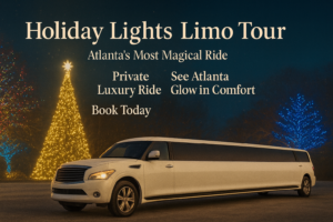holiday limo service, holiday lights tour limo